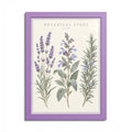 Lavender Botanical Framed Poster – Vintage Herb Wall Art
