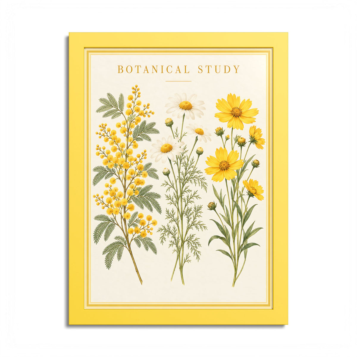 Yellow Botanical Framed Poster – Mimosa & Spring Flowers  Copia titolo