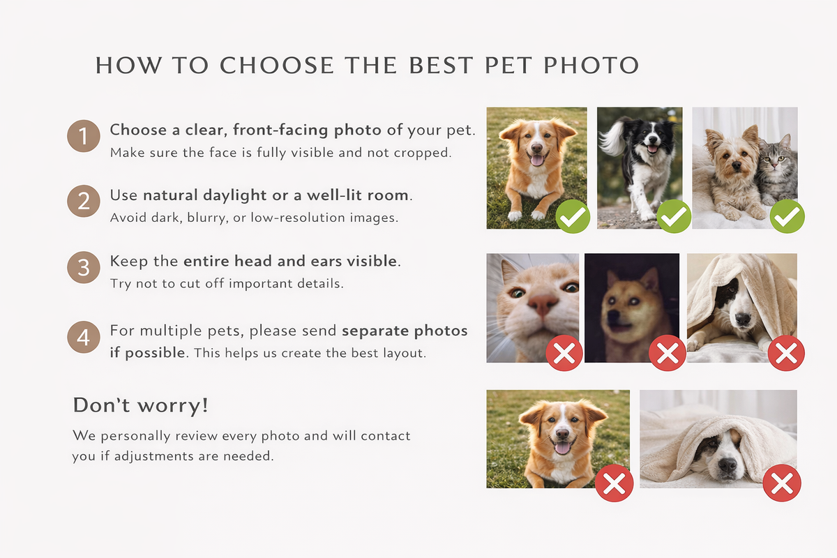 Custom Pet Blanket with Photo & Name  Personalized Dog Blanket  Cat Photo Throw  Sherpa Plush Pet Memorial Gift  PET1