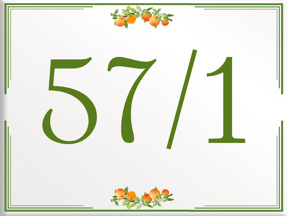 Custom House Number - Personalized House Number - X6