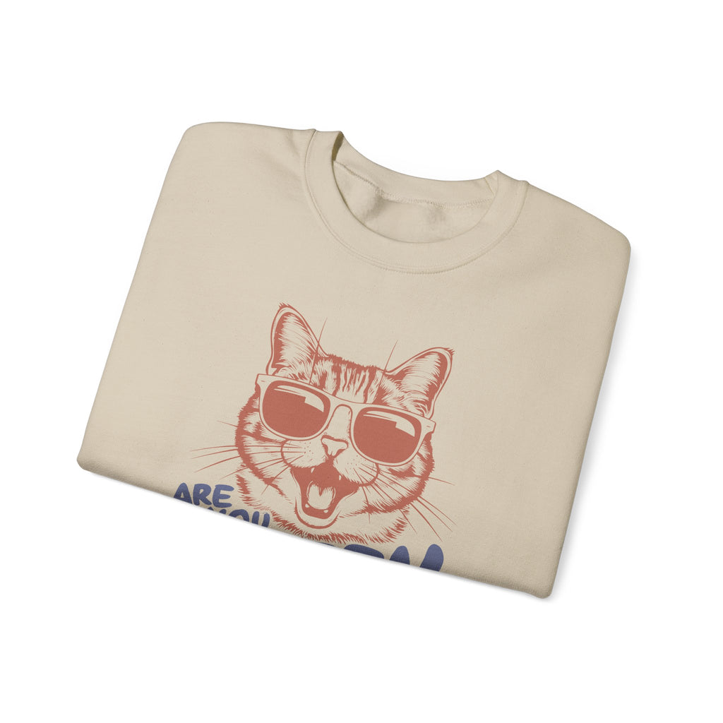 Funny Cat Sweatshirt, Cute Cat Jumper