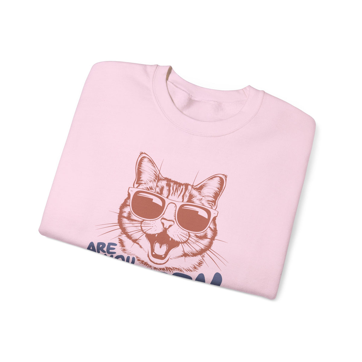 Funny Cat Sweatshirt, Cute Cat Jumper
