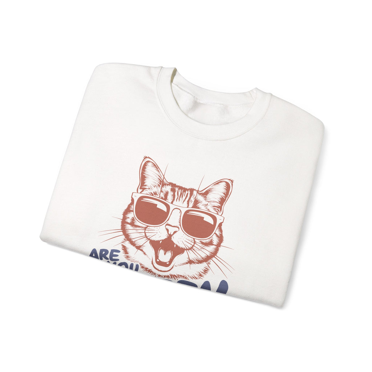 Funny Cat Sweatshirt, Cute Cat Jumper