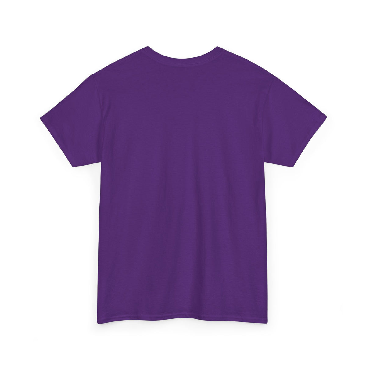 Chicago Skyline T-Shirt – Vintage Retro City Graphic Tee