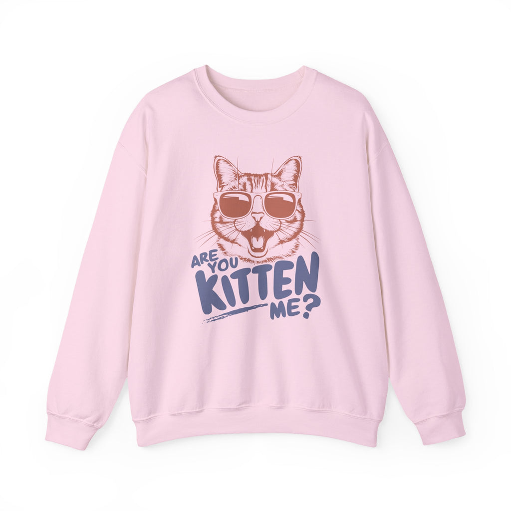 Funny Cat Sweatshirt, Cute Cat Jumper